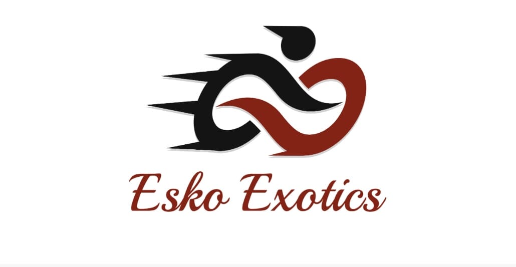logo image